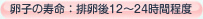 卵子の寿命: 排卵後12〜24時間程度
