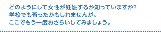 どのようにして女性が妊娠するか知っていますか？学校でも習ったかもしれませんが、ここでもう一度おさらいしてみましょう。