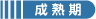 成熟期