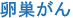 卵巣がん