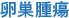 卵巣腫瘍